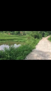 Bán 2,7ha đất tại thôn Minh Tân,Minh Trí,Sóc Sơn, Hà Nội giá tốt chỉ 550 nghìn/m2. LH 0936366885