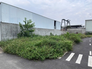 Lô góc 120m² Thái Lai, Minh Trí – vị trí đẹp, hai mặt thoáng, giữ tiền hay đầu tư đều “thơm”!